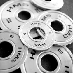 HMS Ocelový olympijský kotouč TOS02 0,25 kg