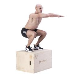 HMS PLYO BOX DSC01