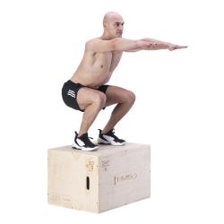 HMS PLYO BOX DSC01