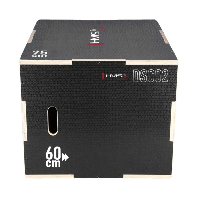 HMS Plyo Box DSC02