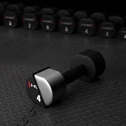 HMS Polyuretanové jednoručky HPT04 2 x 4 kg