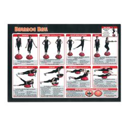 HMS PREMIUM Balanční míč BSX Pro