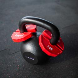 HMS Progresivní přídavné kotouče TSN100 2 x 1 kg