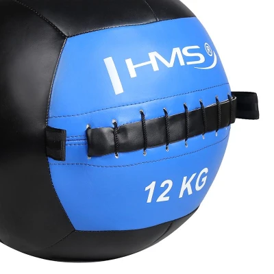 HMS Wall ball WLB 12 kg