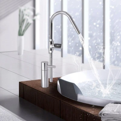 HomeLife Digitálny prietokový teplomer ThermoLED DH-13