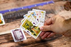 HRA ALL-IN: Všechno nebo víc karetní (společenská hra)