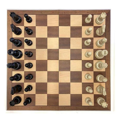 HSH FUNNY CHESS (rodinná sada) (AKČNÍ CENA)