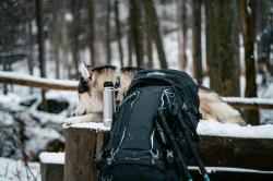 Husky Ranis 70l blue batoh expediční