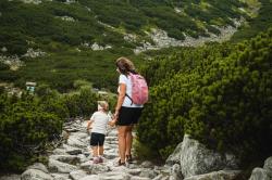 Husky Nery 20l beige batoh