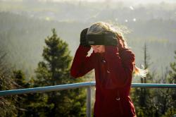 Husky Merband 2 green dámská merino čelenka