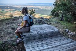 Husky Kiani L beige dámské kraťasy