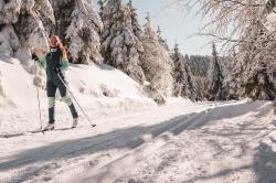 Husky Kala L purple/grey dámské softshellové kalhoty