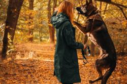 Husky Nut L black dámský hardshell kabát