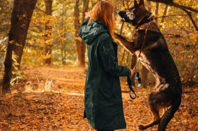 Husky Nut L black dámský hardshell kabát