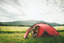 Husky Felen 2-3 červený expediční stan pro dvě osoby + sleva 1000,- na příslušenství