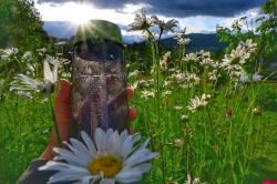 Husky Outdoorová láhev Springler zelená