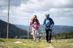 Husky Nanola M beige/grey pánská hardshell bunda