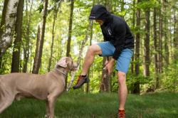 Husky Any M blue pánská mikina