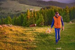 Husky Dresles M mustard pánská péřová vesta