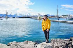 Husky Sevan M yellow pánská softshell bunda