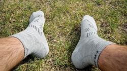 Husky Trip purple ponožky