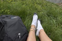 Husky Walking šedé ponožky