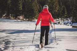 Husky Trekové hole Stork oranžová