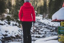 Husky Trekové hole Stork oranžová