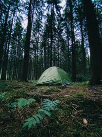 Husky Stan Ultralight Sawaj 3 zelená + zľava 40 € na príslušenstvo