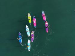 Iboard Paddleboard 11 - 1 PURPLE PALM 2026 paddleboard set + zľava 300,- na príslušenstvo