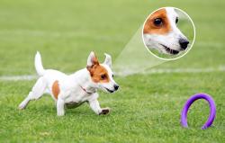 Imou 2v1 žárovka a 360° venkovní kamera WiFi Bulb Cam 5MP