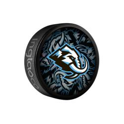 InGlasCo Fanúšikovský puk NHL Clone Blister (1ks)