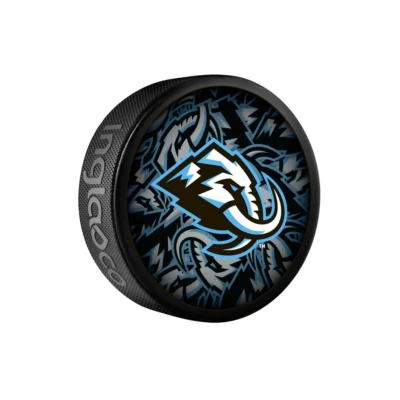 InGlasCo Fanouškovský puk NHL Clone Blister (1ks)