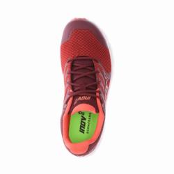 Inov-8 PARKCLAW 260 W (S) red/burgundy - červená běžecká obuv