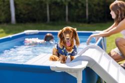 Intex Bazén 48404 Frame Pet set s filtrací a rampou pro mazlíčky 229x152x46 cm