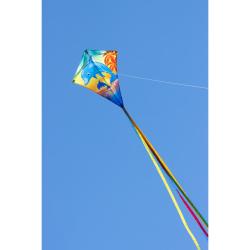 Invento drak Eddy Dolphin Sunset
