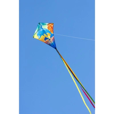 Invento drak Eddy Dolphin Sunset