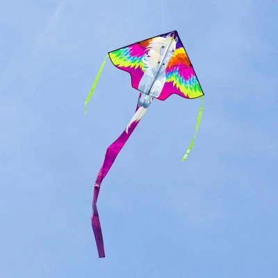 Invento drak Simple Flyer Pegasus