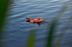 IQ models Odolné RC lietadlo X-320 oranžové