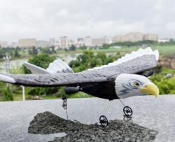 IQ models RC Lietadlo Orol 2,4Ghz s autopilotom