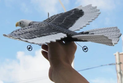 IQ models RC Letadlo Orel 2,4Ghz s autopilotem