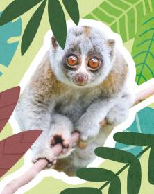 Jiri Models Naučná samolepková knížka Divoká zvířata