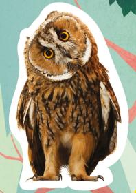 Jiri Models Naučná samolepková knížka Les