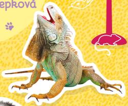 Jiri Models Naučná samolepková knížka Mazlíčci