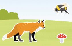 Jiri Models Sametová samolepková knížka Divoká zvířata