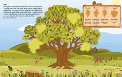 Jiri Models Samolepková knížka Naše stromy 265 samolepek