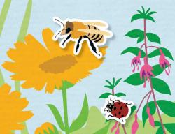 Jiri Models Samolepková příroda hmyz 310+ samolepek