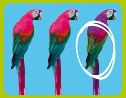 Jiri Models Svět zvířat Pozoruhodná zvířata s aktivitami a plakátem