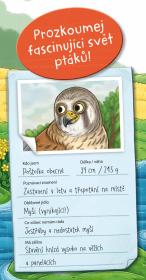 Jiri Models Svět zvířat v samolepkách Naši ptáci
