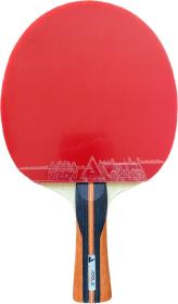 JOOLA - J Carbon + Vizon pálka